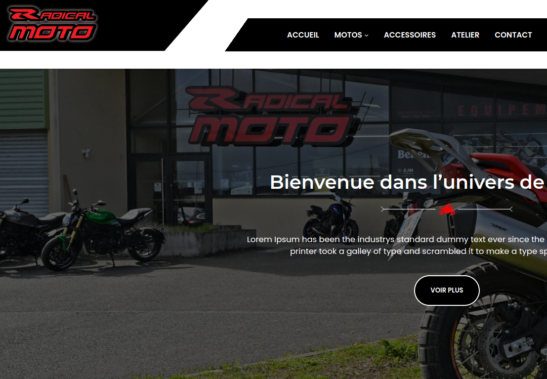 Affichage de la page d'accueil d'un site de concéssionnaire moto